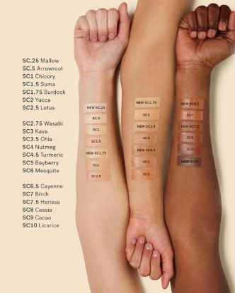 Picture of True Skin Serum Concealer