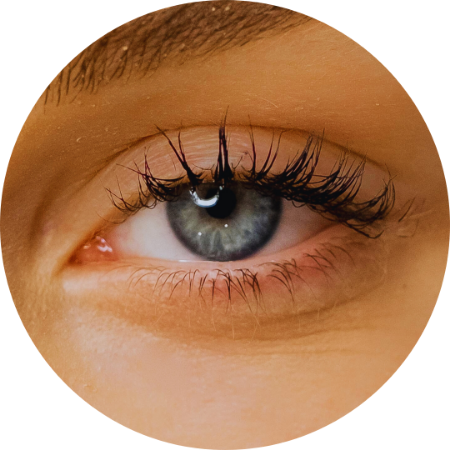 Picture for category Eye