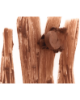Picture of Peptide Lip Shape - Balance